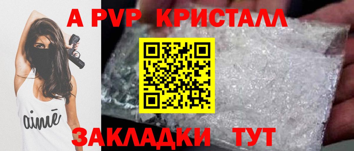 Alfa_PVP СК Кузнецк