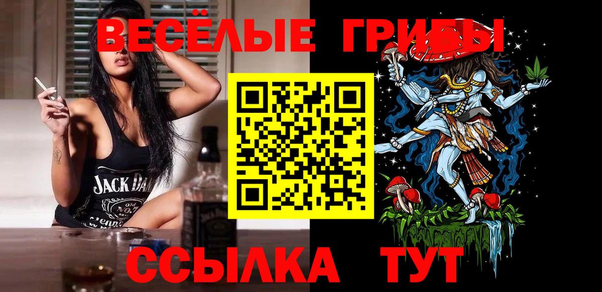 Кузнецк  Галлюциногенные грибы мухоморы  Вход с VPN 